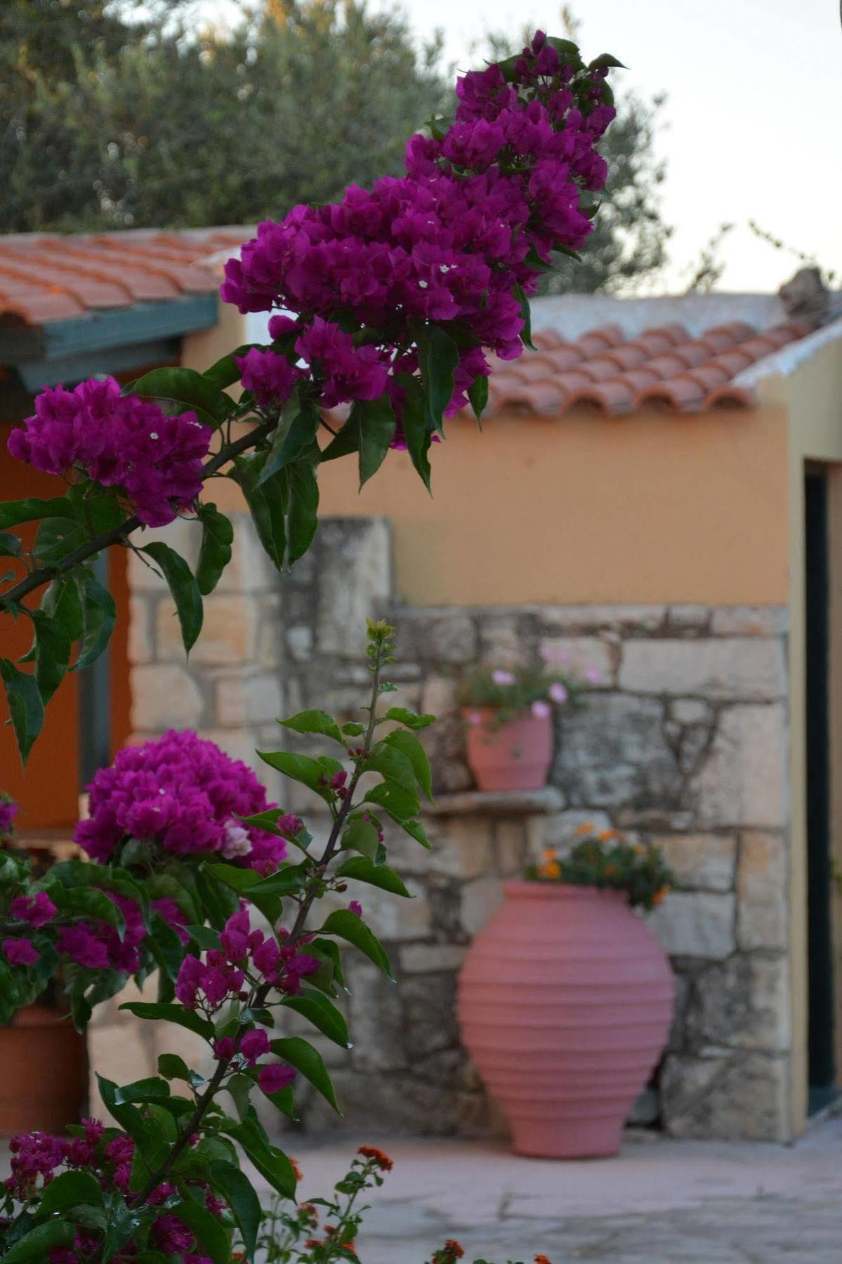 Villa Galini Episkopi  ภายนอก รูปภาพ